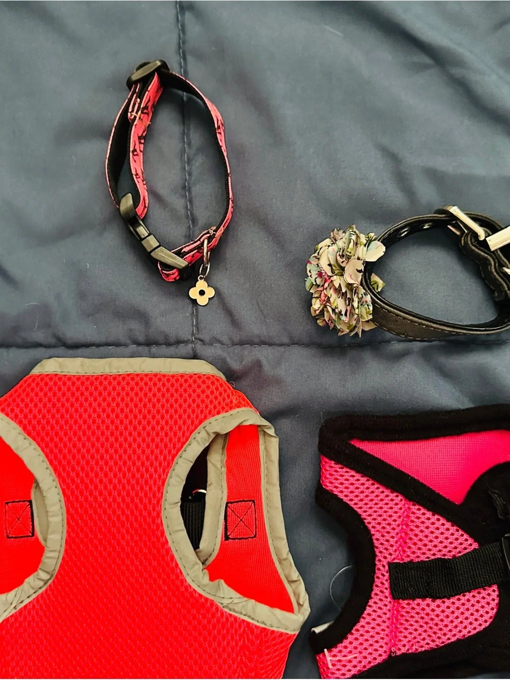 Dog harnesses and collar set